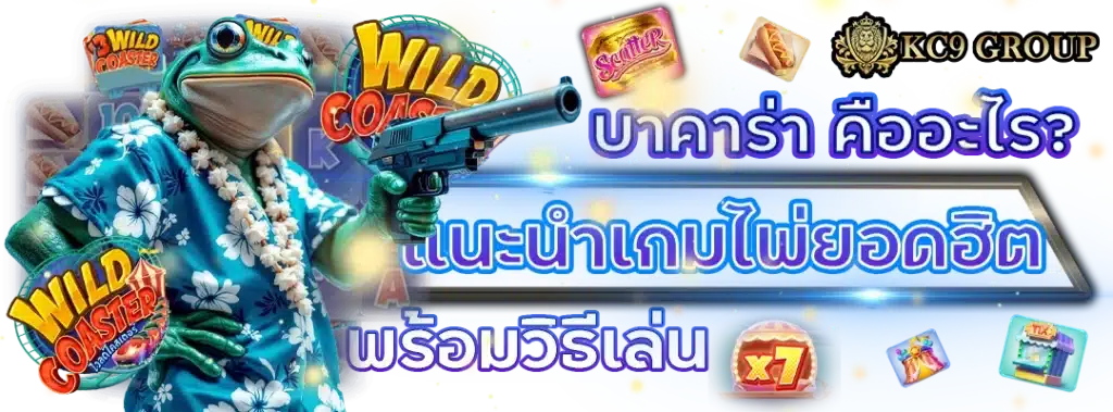 บาคาร่า คืออะไร